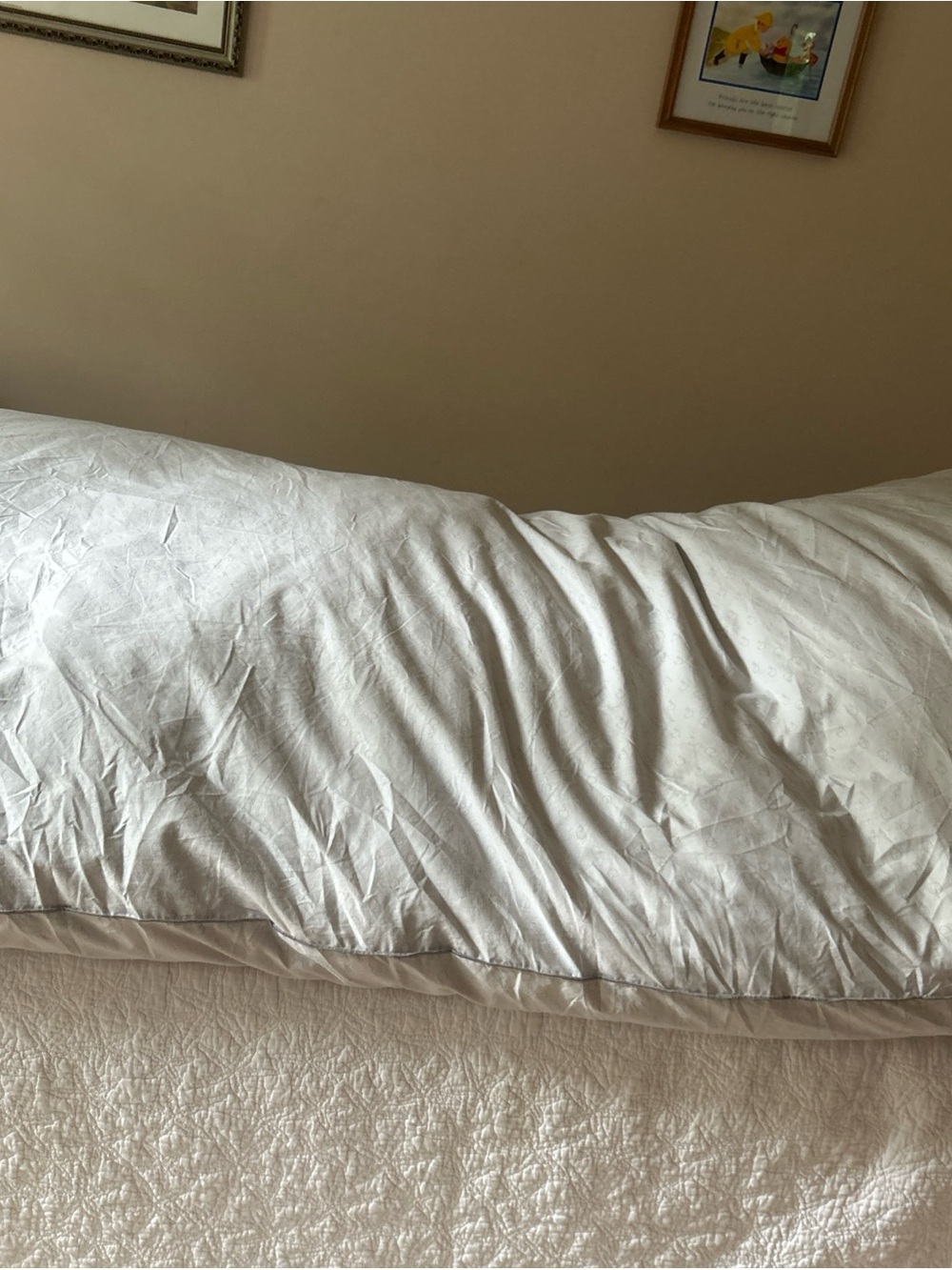 3 Inch White Goose Feather Bed Topper Twin European Style  Scandia & Duvet Cover